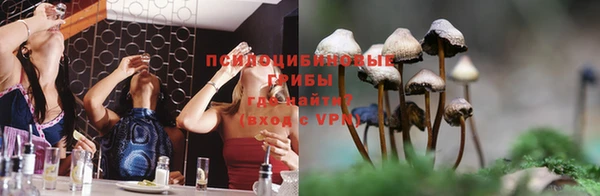 spice Костерёво