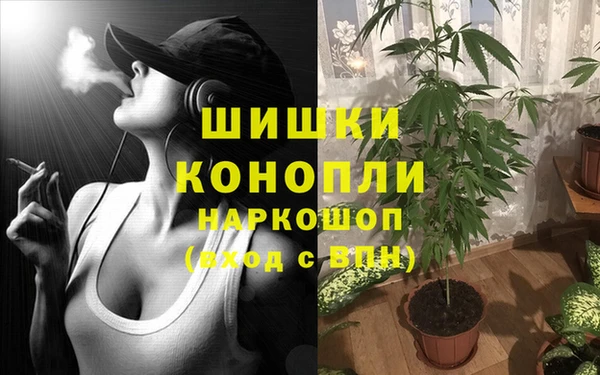 каннабис Коряжма