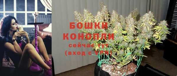 каннабис Коряжма
